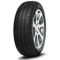 MINERVA F209 195/65 R15 91H
