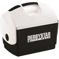 Derbystar Kühlbox 10 l weiß/schwarz
