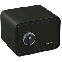 BASI mySafe 350 Fingerprint schwarz