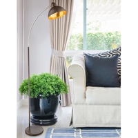 GLOBO Anita 24703SR