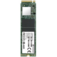 Transcend 110S 256GB (TS256GMTE110S)