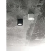 Fabas Luce Palmi (3429-71-102)