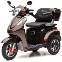 ECONELO E-Trike S1000 25 km/h braun