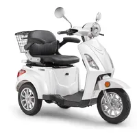 LUXXON E3800 800 Watt 20 km/h weiß