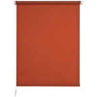 LIEDECO Liedeco® »Klemmfix«, Lichtschutz, ohne Bohren, inkl. Klemmträger