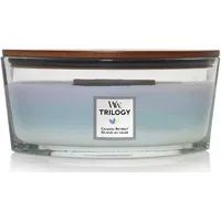 Woodwick Ellipsenförmige Duftkerze mit knisterndem Docht, Sand & Driftwood,