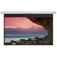 Celexon DELUXX Cinema Motorleinwand 221 x 124cm, 100" -