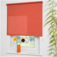 LIEDECO Seitenzugrollo Uni 62 x 180 cm terrakotta