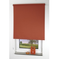 LIEDECO Seitenzugrollo Uni 82 x 180 cm terrakotta