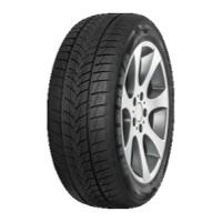 MINERVA Frostrack UHP 255/35 R18 94V