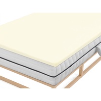 Biberna 0077641 Jersey-Elastic-Topper 90 x 190 - 100 x
