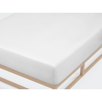 Castell Spannbettlaken Jersey 90 x 190 - 100 x
