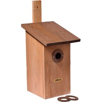 Dobar Einblick Beobachtungs-Vogelnistkasten