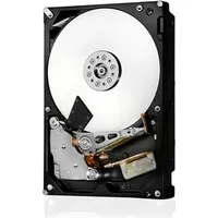 Western Digital Ultrastar HC320 8TB (0B36402)
