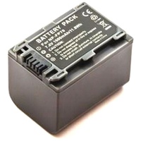 AGI Sony DCR-SR30E kompatibel