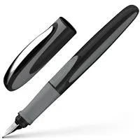 Schneider Ray M onyx