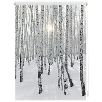 Lichtblick Seitenzugrollo Klemmfix Motiv Birkenwald 60 x 150 cm