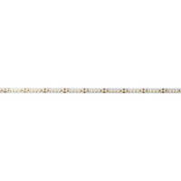 KapegoLED Flexibler LED Strip, 3528-180-24V-4000K, 500cm D-840180
