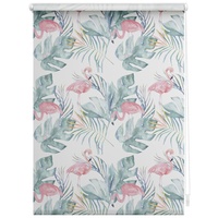 Lichtblick Seitenzugrollo Klemmfix 80 x 150 cm Flamingo -