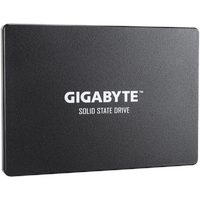 Gigabyte SSD 1 TB 2,5" GP-GSTFS31100TNTD