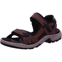 ECCO Offroad Herren espresso/cocoa 45
