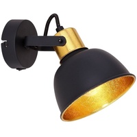 GLOBO Fillo (54655-1)