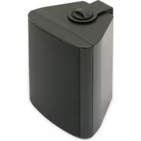 Visaton  WB 10 - 100 V/8 schwarz