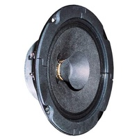 Visaton  BG 13 P - 8 Ohm