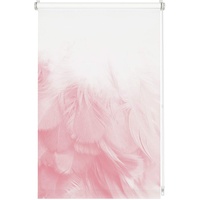 GARDINIA Rollo ohne Bohren, Zum Klemmen, Blickdicht, Sichtschutz, Blendschutz,