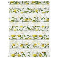 Lichtblick Duo Rollo / Doppelrollo Klemmfix 60 x 150