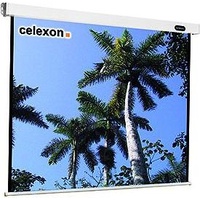 Celexon Mobil Expert 203x152 4:3 Rückprojektion