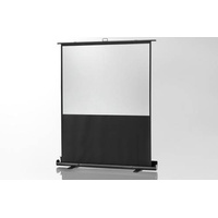 Celexon Ultramobil Plus Professional 160x120 4:3