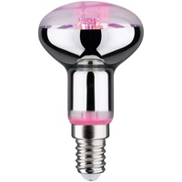 Paulmann LED-Pflanzenlampe Wachstum 230 V E14 4 W, 100