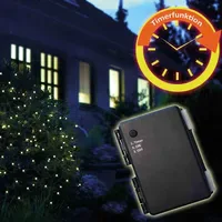 FHS International Lichternetz LED 2,0 x 2,0 m Grün