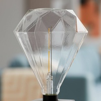 Philips LED Lampe (dimmbar)