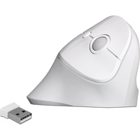 DeLock Ergonomische USB Maus vertikal weiß, kabellos,