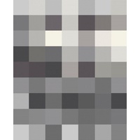Biederlack Check 150 x 200 cm graphit