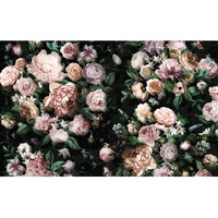 KOMAR Fototapete Victoria Black 400 x 250 cm,