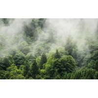 KOMAR Fototapete Forest Land 400 x 250 cm