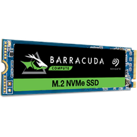 Seagate BarraCuda 510 250 GB M.2 ZP250CM3A001