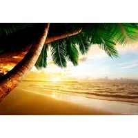Papermoon Fototapete PAPERMOON "Caribbean Beach Sunrise", bunt, B:2,5m L:1,86m,