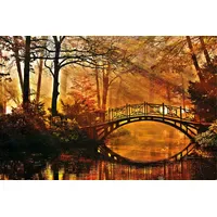 Papermoon Fototapete Misty Park Bridge", bunt, Fototapeten Tapeten