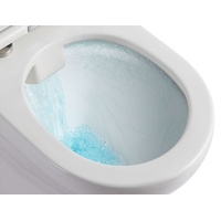 Primaster Stand WC spülrandlos Eta Tiefspüler weiß erhöht
