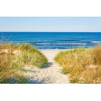 Papermoon Fototapete Beach Access", bunt, Fototapeten Tapeten