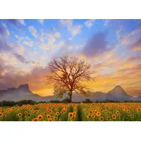 Papermoon Fototapete Sunflower Field", bunt, Fototapeten Tapeten