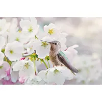 Papermoon Fototapete Cherra Blossoms", bunt, Fototapeten Tapeten