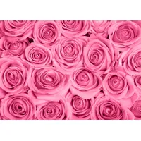 Papermoon Fototapete PAPERMOON "Pink Roses", bunt, B:2,5m L:1,86m, Vlies,