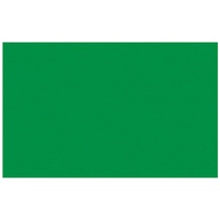 Ursus Tonpapier 130g/qm A4 VE=100 Blatt tannengrün