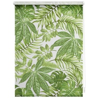 Lichtblick Seitenzugrollo Klemmfix 100 x 150 cm Blätter -