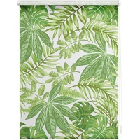 Lichtblick Seitenzugrollo Klemmfix 45 x 150 cm Blätter/Grün